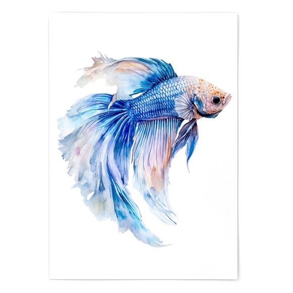 Watercolor Betta Fish Wall Art Illustration Print Poster Unframed - Picture 5 of 5